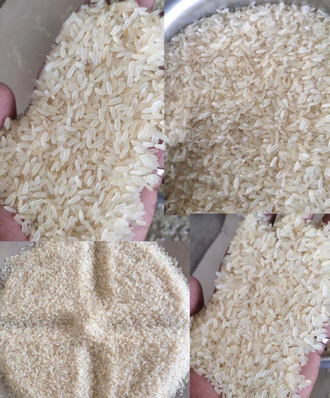 Rice