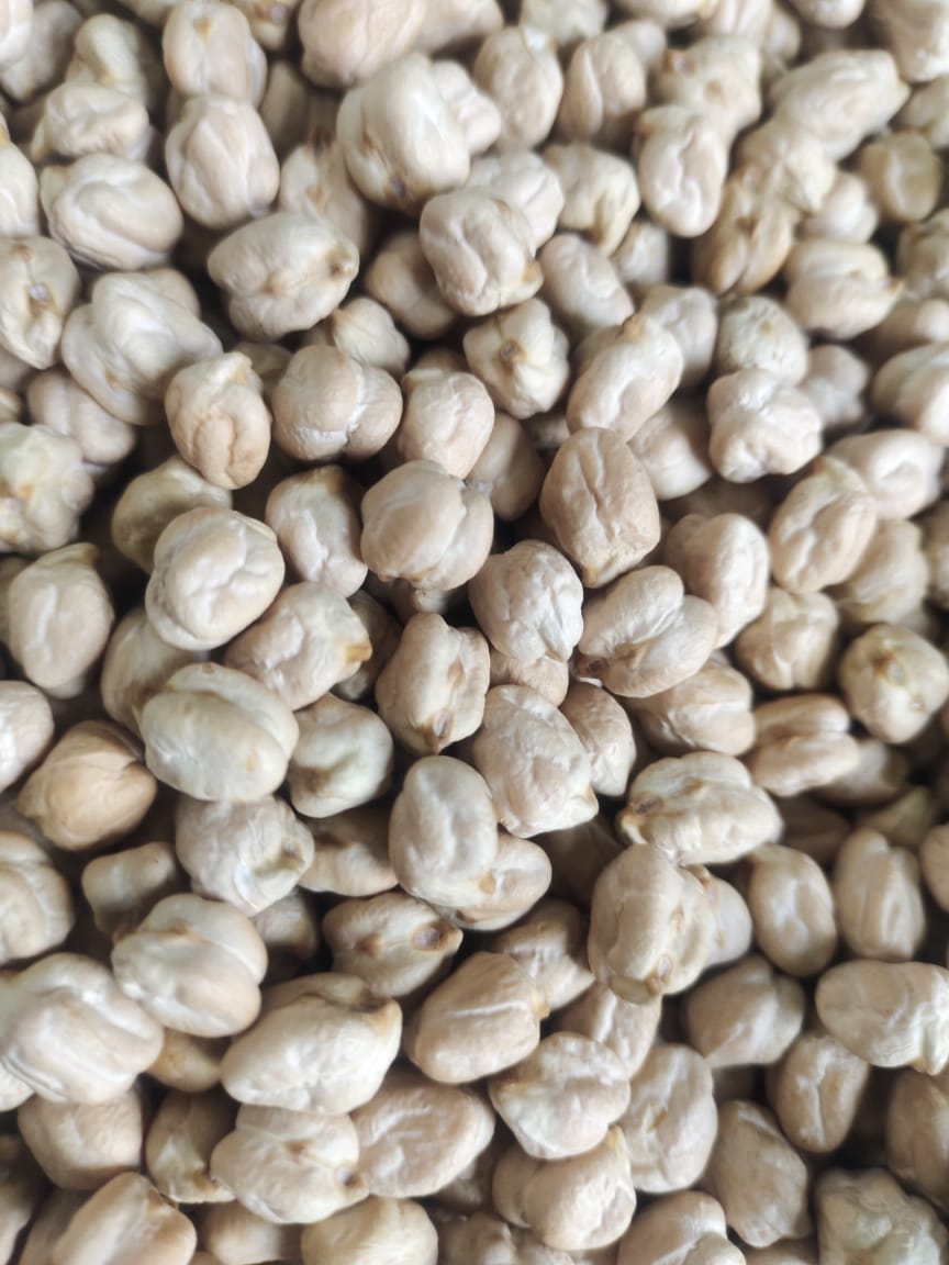 Pulses & Chickpeas