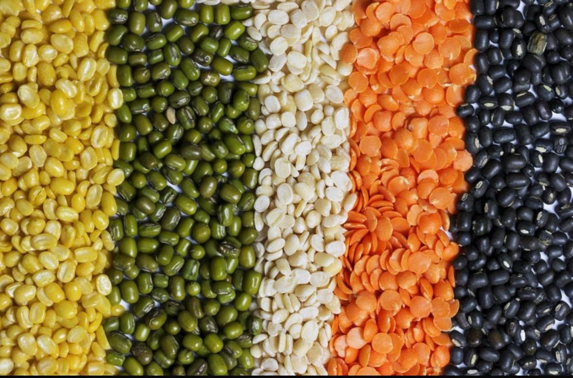 Maize