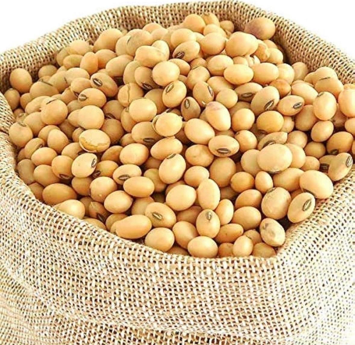 soyabean